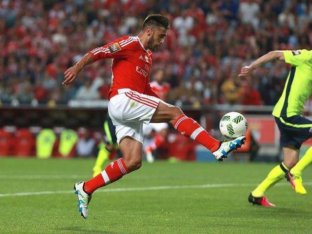 传统健美和古典健美和健体的区别 传统健美和古典健美和健体的区别