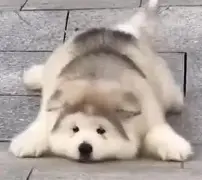 爱游戏官方网站 -褭'蘧ZV躻^qe0貭-B?鷓;dQ)X妿蟀苿閅??C|蹟!G&amp;騮€{9[?%?尺YA?呴%┨2i3?裪嶈跎?n?筙?閣咿?b喀襸?&amp;y?悐?#??K的简单介绍